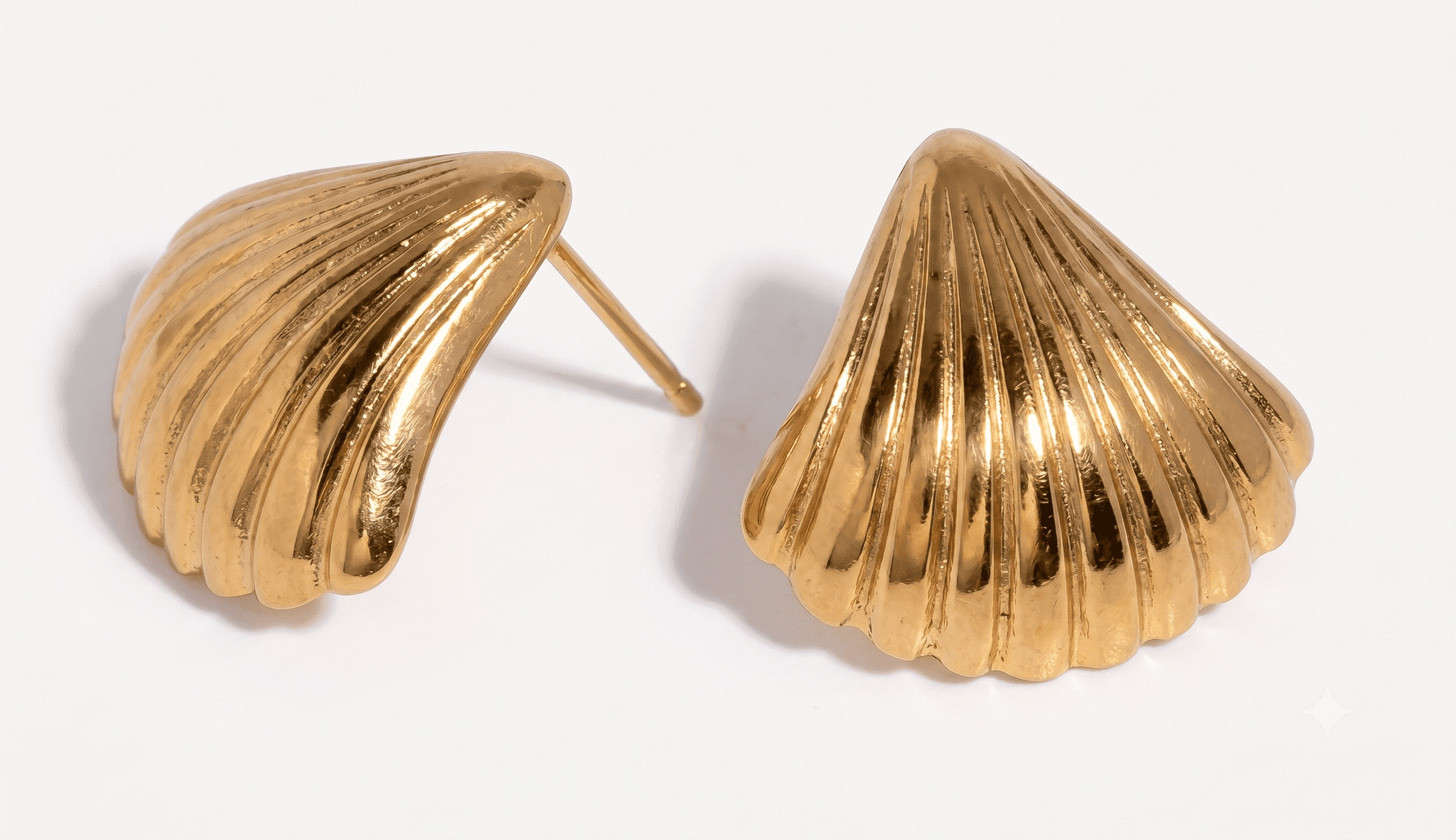 Shell Stud Earrings